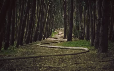 AI and Lead Generation: Where Are We and What’s Next