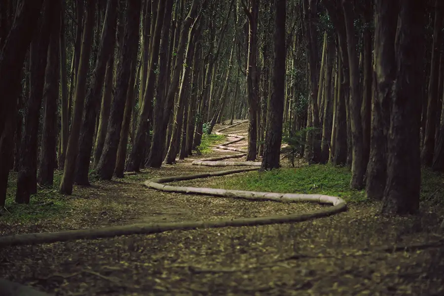 AI and Lead Generation: Where Are We and What’s Next