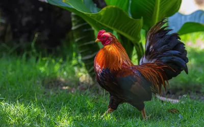 Lead Generation Strategy for 2025: What Works Now