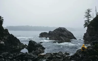 How Do You Survive the Bumpy Times Ahead?