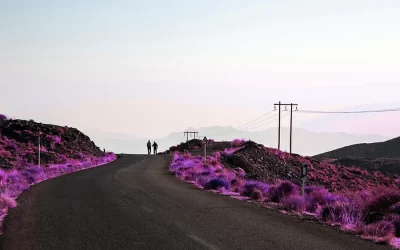 Would You Propose on the First Date? Why B2B Sales Needs a Relationship Mindset