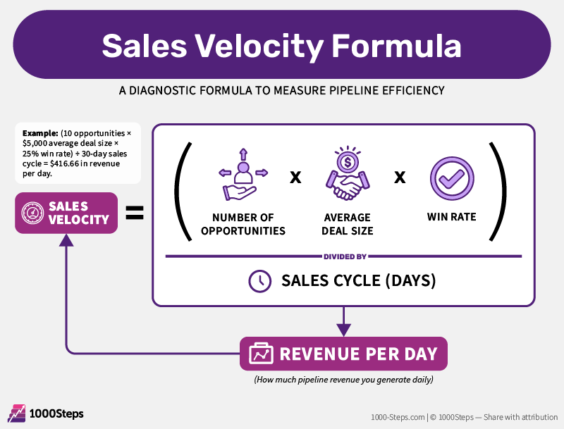 Visual breakdown of the Sales Velocity formula showing how opportunities, average deal size, and win rate divided by sales cycle equals daily revenue generated. Includes example calculation and output labeled as revenue per day.